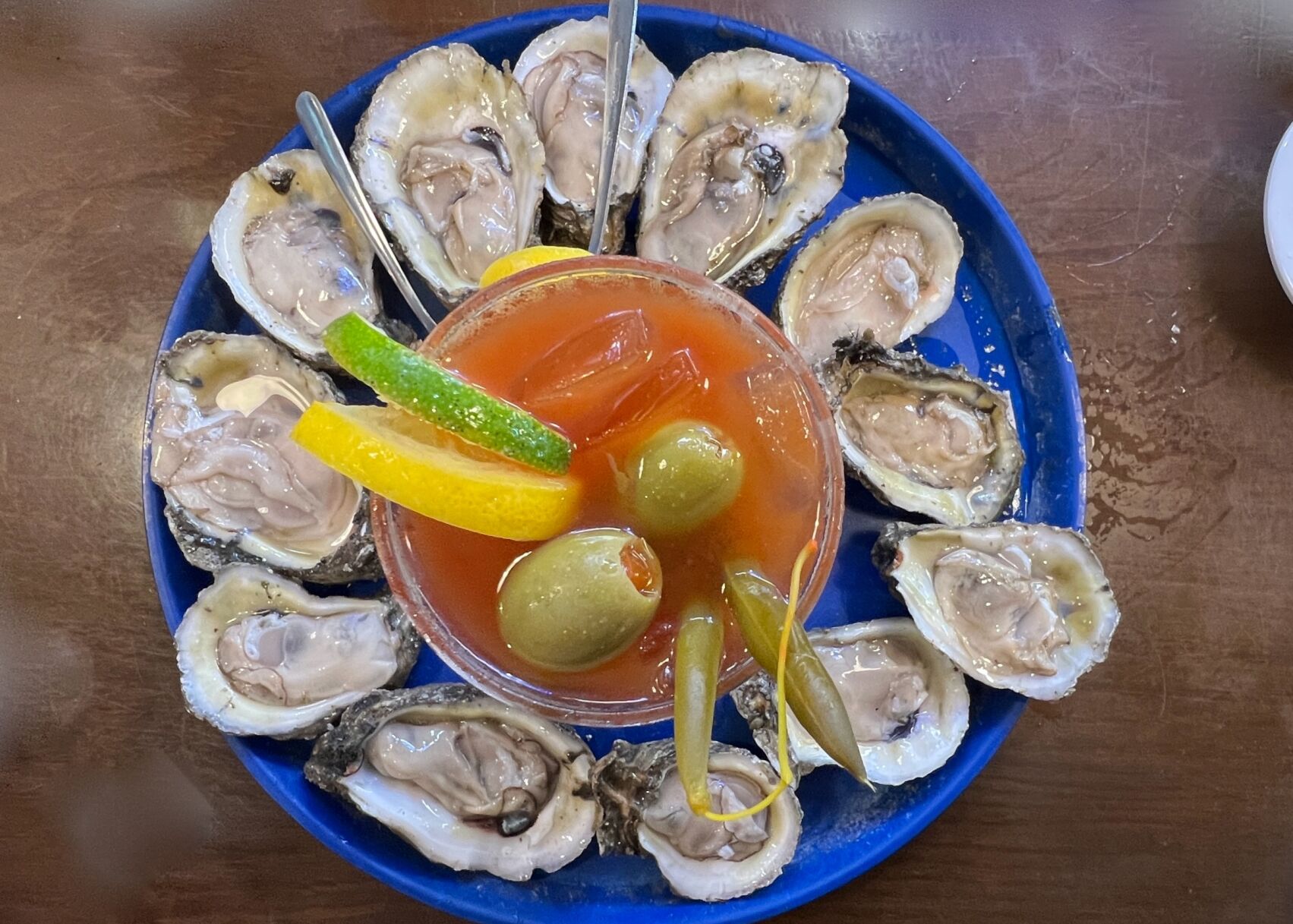 harbor oysters